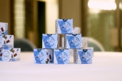 1_CARE-SECTOR-XMAS-LUNCH_11.12.25_by-Suzi-Corker_21