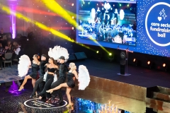 Care Sector Fundraising Ball