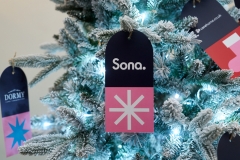 Care-Sector-Christmas-Lunch-247