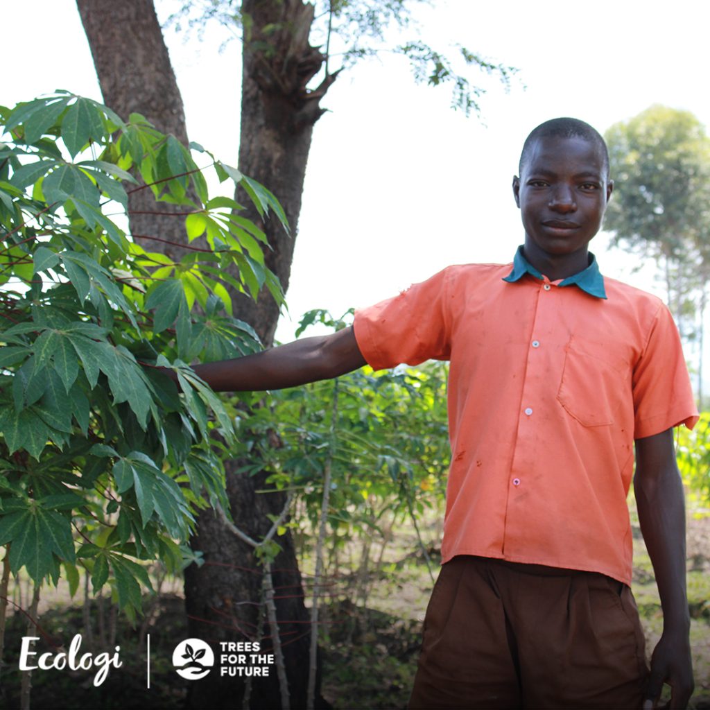 Photo of boy holding a tree with company logo of Ecologi and strapline of Trees for the Future